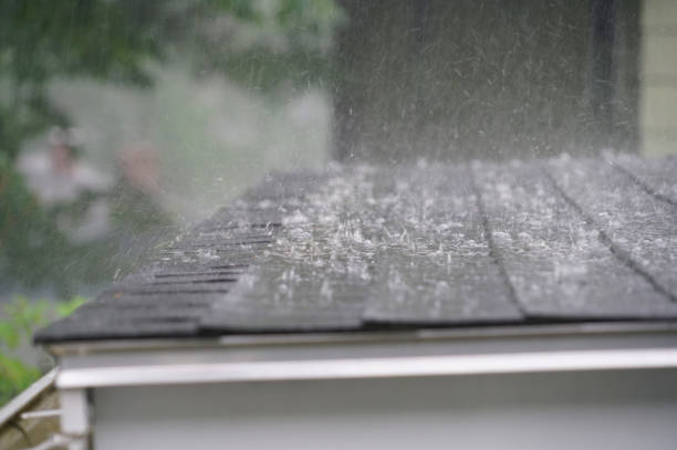Gutter Replacement in Homeland Park, SC