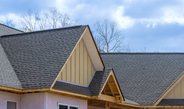 Best Chimney Flashing Repair  in Homeland Park, SC